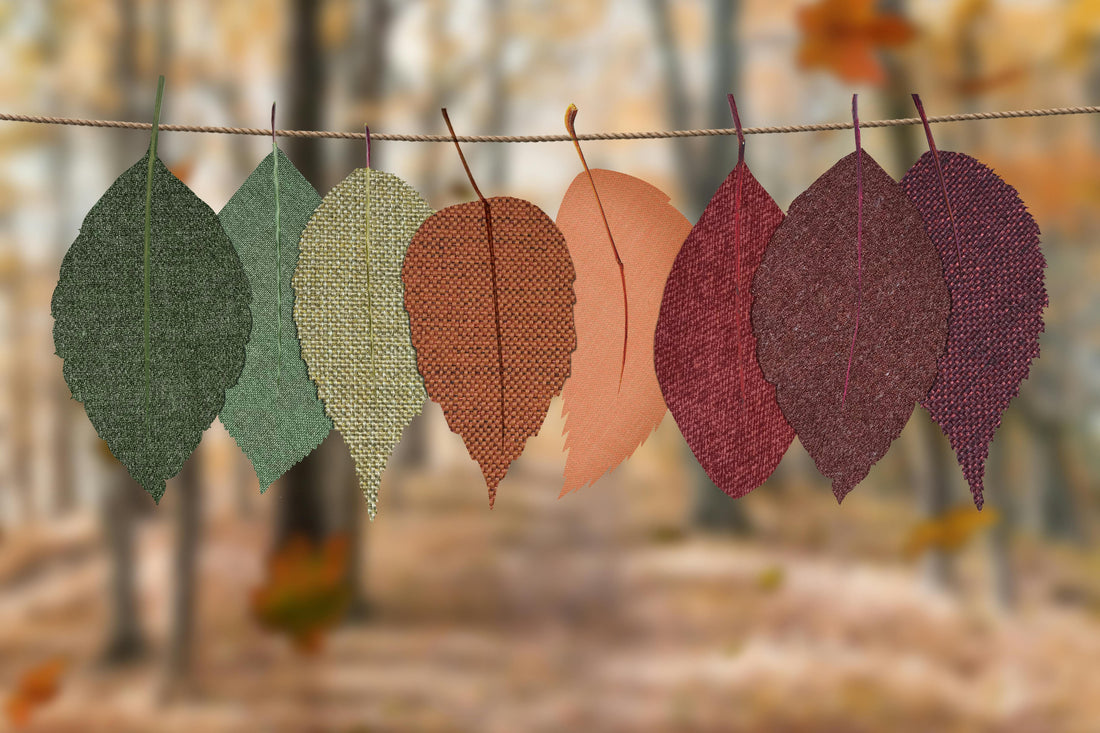 Fall is My Favorite